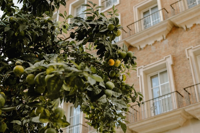 Andalusia – where history and everyday life share the same table